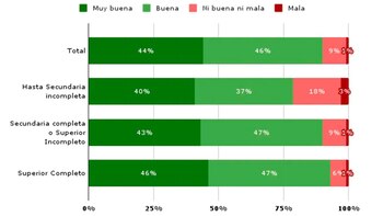 ¿Cómo considera que es la