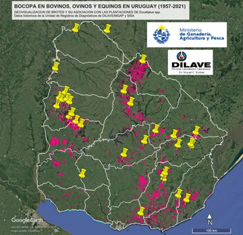 La geovisualización de brotes de
