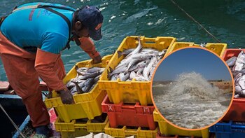 Difusión/Andina/Composición Infobae