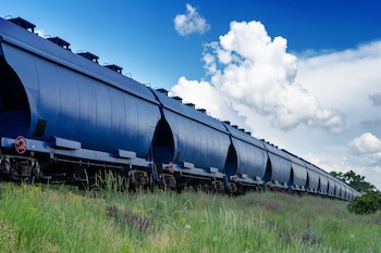 El ferrocarril, con el Belgrano Cargas como principal protagonista, posee la escala natural para mover grandes volúmenes a una fracción del costo (Foto: Shutterstock)
