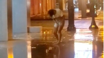 Alerta en Ecuador: temen que