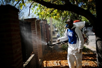 El contagio del dengue solo