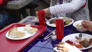 Programa nutricional UNAM: como solicitar