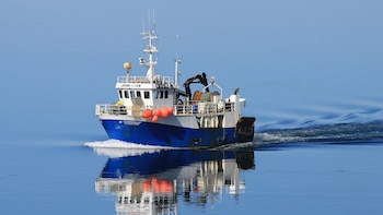 Barco de arrastre. (Cristo46/Wikimedia Commons)