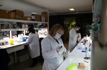 Los científicos han apurado y