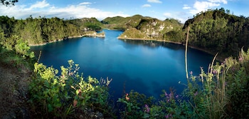 Un lago azul rodeado de colinas verdes cubiertas de árboles. Hay pequeñas islas en el lago. El cielo es azul con nubes blancas. Vegetación y flores en primer plano