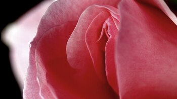 Una vida sexual “normal” se