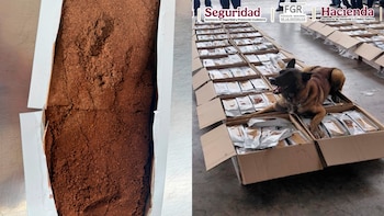 Detectan un cargamento de café contaminado con más de una tonelada de cocaína en el Aeropuerto Internacional de la CDMX. SSPC