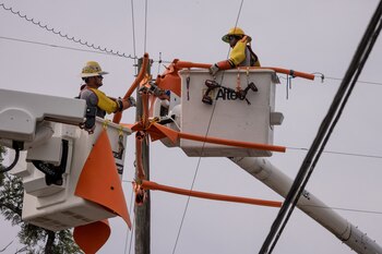 Empleados fortalecen las líneas eléctricas
