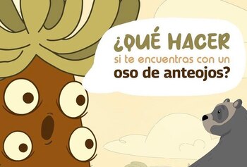 Frailejón Ernesto Pérez detalló qué