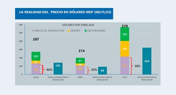 El gráfico precisa que el