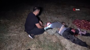 Un león escapó de un zoológico en Turquía e hirió a un granjero