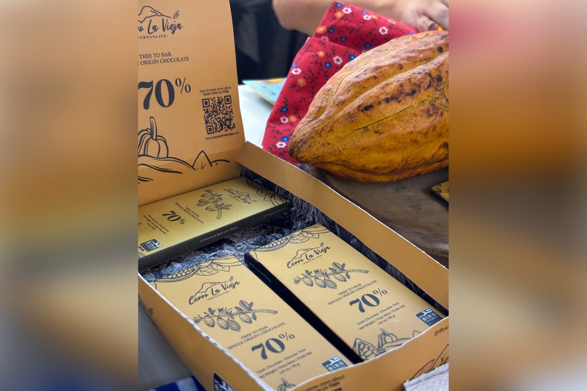 El cacao se produce sin pesticidas, favoreciendo el equilibrio natural del ecosistema. Crédito: Vanessa Crooks, STRI