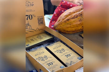 El cacao se produce sin pesticidas, favoreciendo el equilibrio natural del ecosistema. Crédito: Vanessa Crooks, STRI