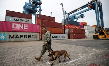 Foto de Archivo: un miembro