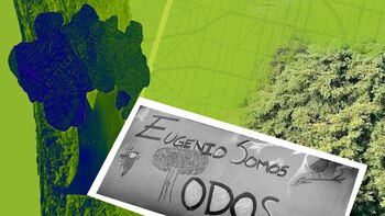 Dónde está el árbol ‘Eugenio’