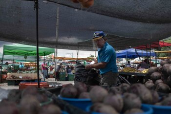 Foto: EFE /Jeffrey Arguedas