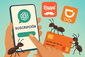 De Didi a ChatGPT: cómo