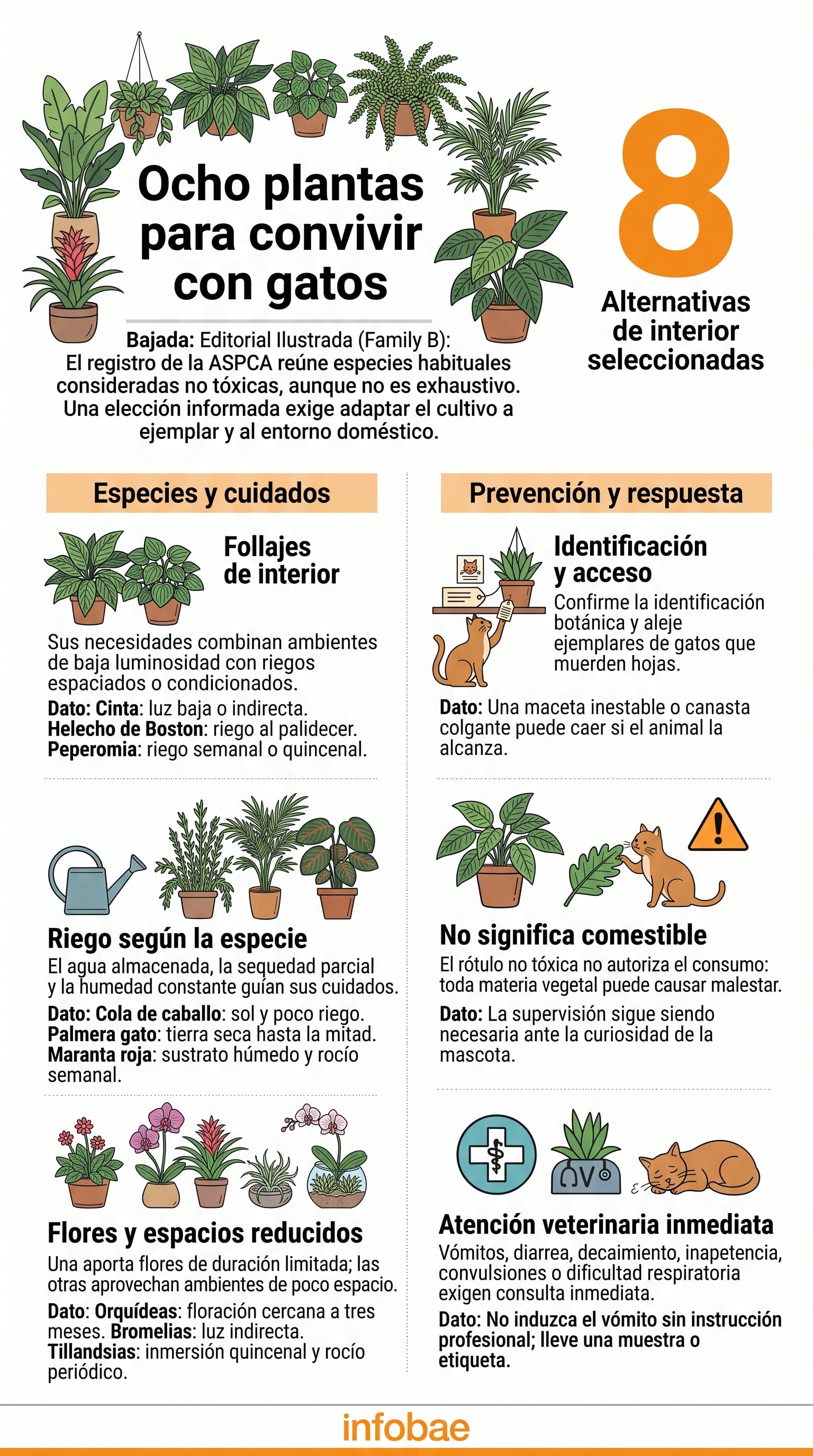 La identificación botánica y la consulta veterinaria ayudan a prevenir complicaciones tras una ingestión. (Imagen Ilustrativa Infobae)