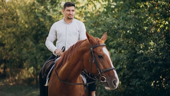 Domesticado hace milenios, el caballo