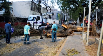 Graves destrozos por el viento