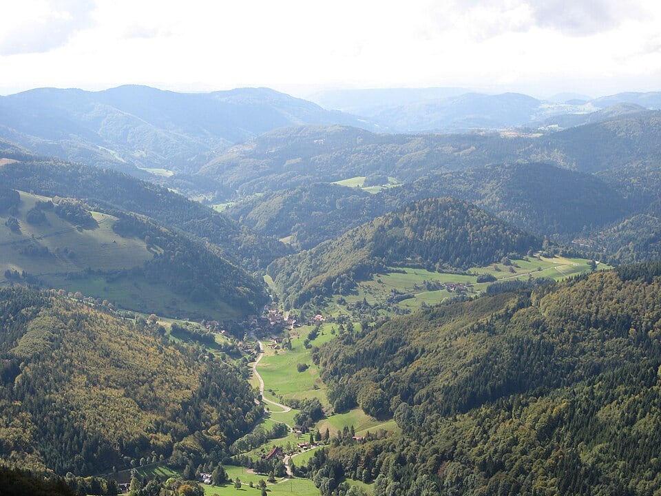 Las excursiones organizadas desde Colmar y las salidas de día a la Selva Negra permiten conocer bodegas, pueblos y ciudades como Freiburg im Breisgau sin conducir ni cambiar de base. (Wikimedia/Jon Agüera)