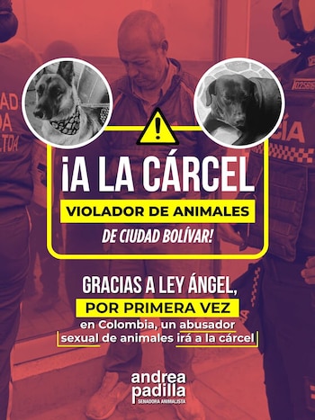 El sindicado fue cobijado con