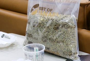 Un total de 102 lotes de café de especialidad competirán en la edición 30 del Best of Panama, el certamen más importante de la caficultura panameña. Cortesía
