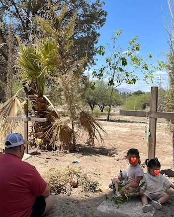 Darío quiere que entiendan la