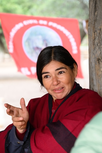 Greenpeace Frente Nacional Campesino