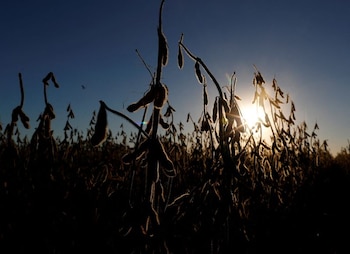 La agroindustria representó, en 2021,