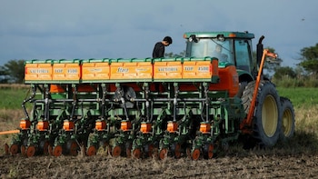 Agricultores trabajan para sembrar un campo de maíz, en Turen, estado Portuguesa