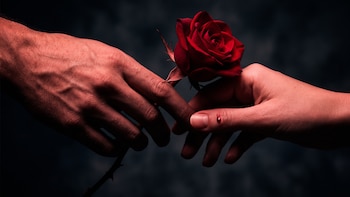Geometría y naturaleza: por qué las espinas de las rosas cortan en lugar de pinchar