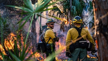 Dos bomberos forestales, equipados con