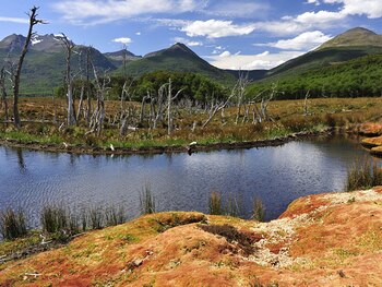 Día Mundial de los Humedales