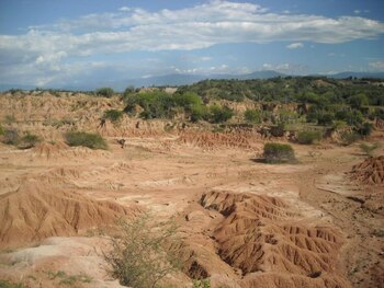El yacimiento paleontológico de La