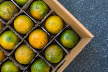 Entre las normativas incorporadas, se