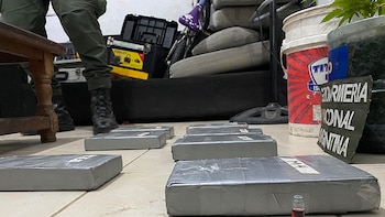 Así operaba la megared narco descubierta tras el hallazgo de una avioneta abandonada en 2022: hay 39 imputados