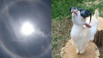 Internautas han reaccionado con memes