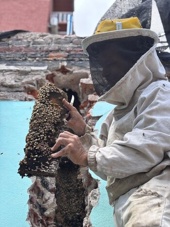 Marcelo en plena labor