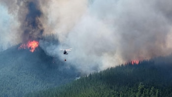 Cuando la mentira busca enemigo: