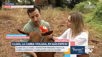 Imagen de la cabra Clara