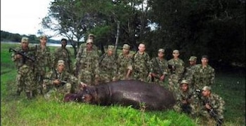 Pepe - Hipopótamo - Colombia