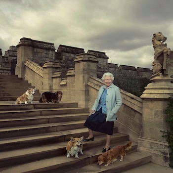 Una imagen actual de la Reina Isabel II posando al lado de sus mascotas. (Royal UK)