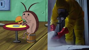 El peligro de no fumigar