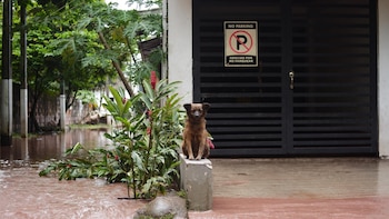 Bogotá asegura que no requiere