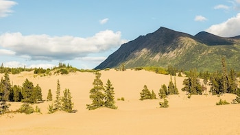 Carcross Desert, el desierto más pequeño del mundo que atrae a los turistas