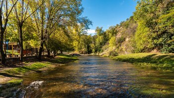 Vista panorámica de un río de aguas claras fluyendo entre orillas cubiertas de césped y árboles frondosos de hojas verdes y amarillas, bajo un cielo azul