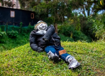 La quema de muñecos de