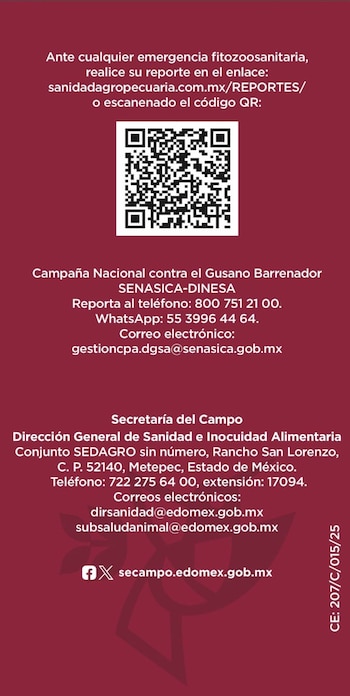 Gusano barrenador Edomex Tlatlaya zona